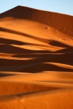 Sand dunes of Sahara